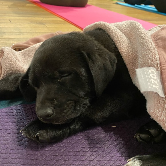 Meet your Posher, Kt - Picture 1 of 1